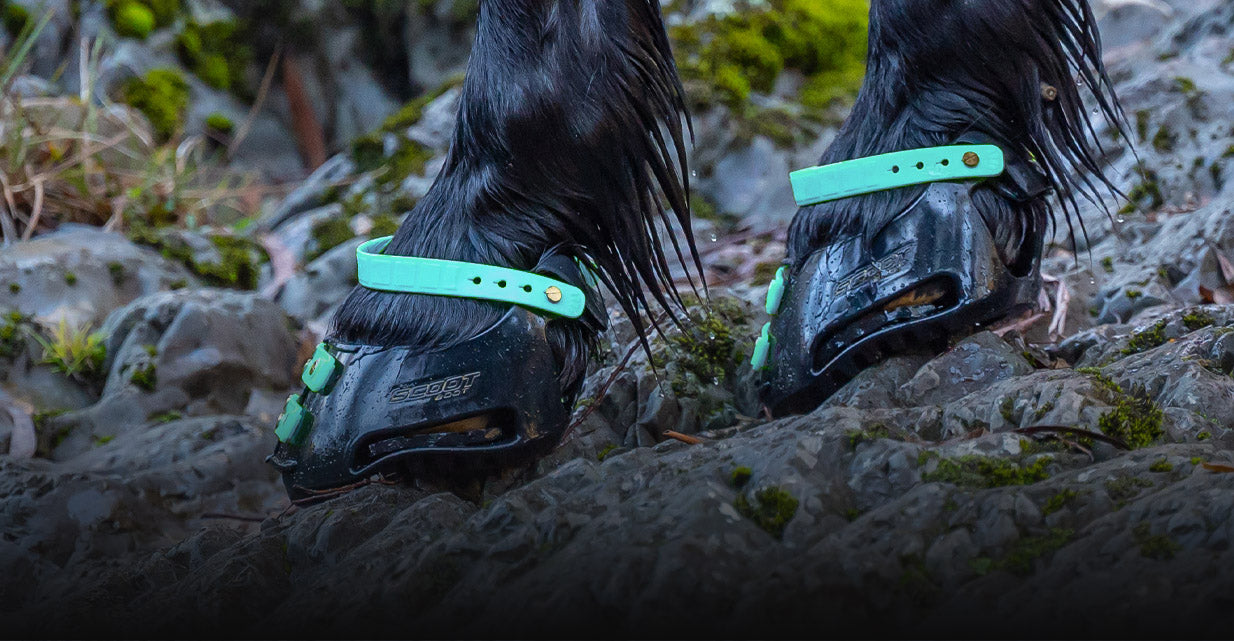 Scoot Boot hoof boots marine straps