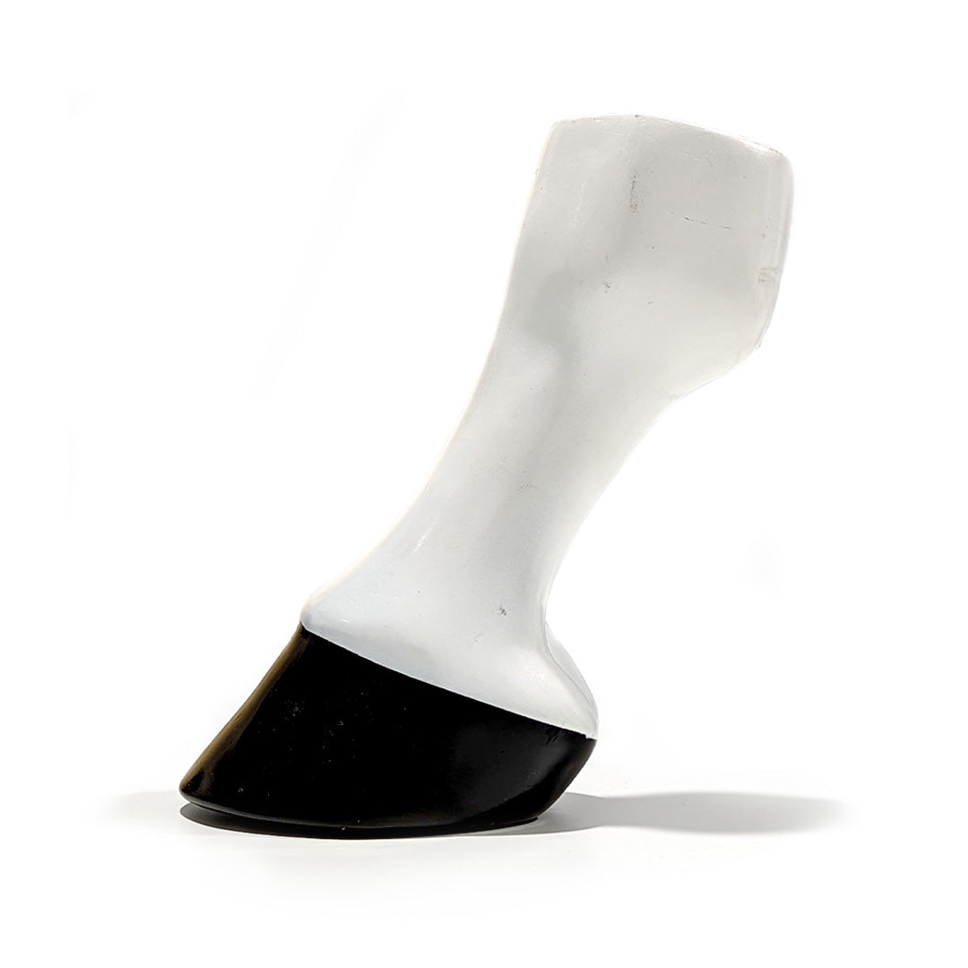 Hoof Model
