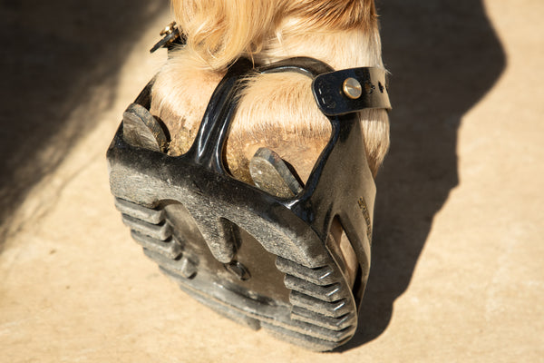 Scoot hoof boots Clearance