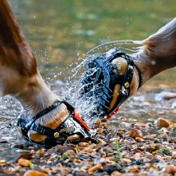 Timberline heels sales