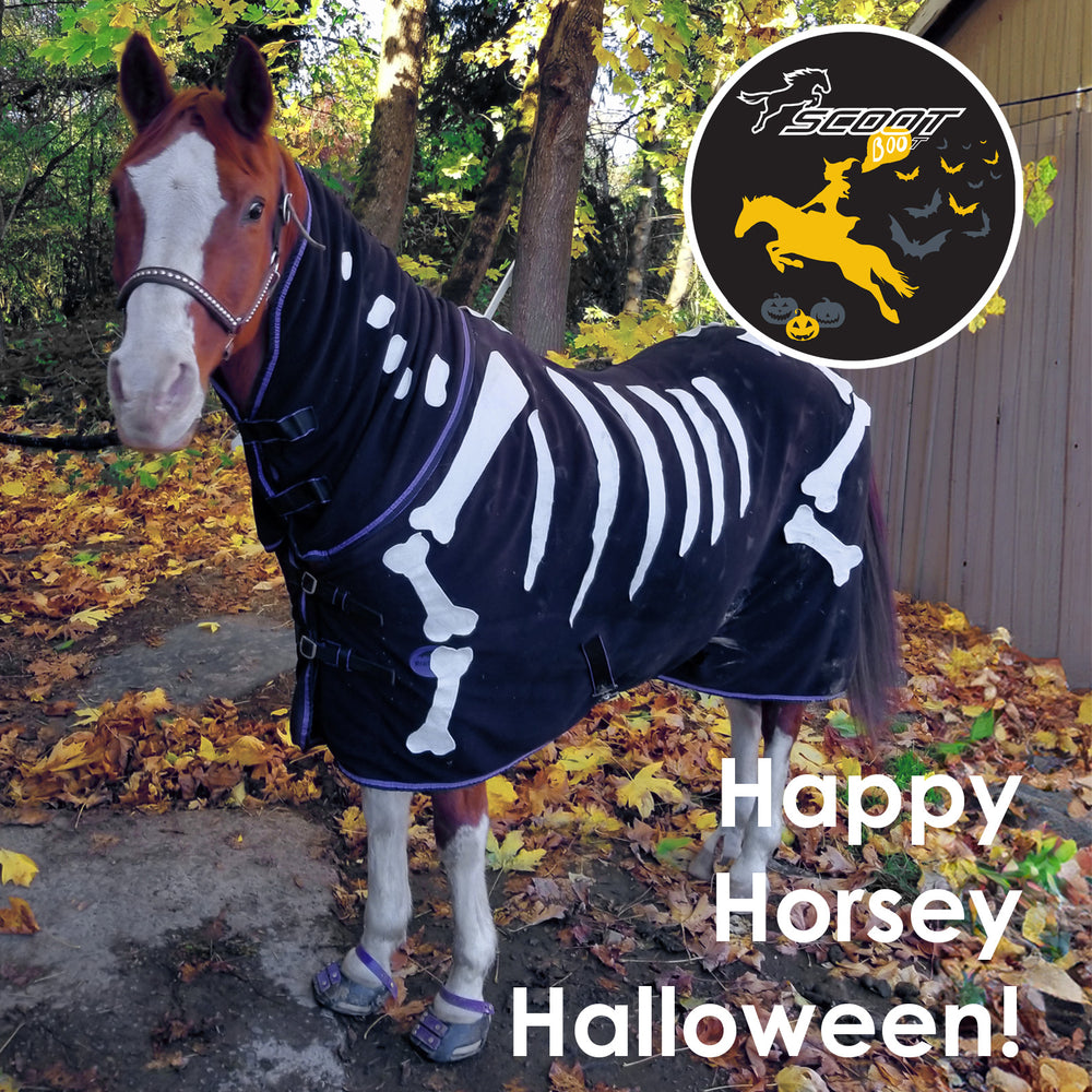 Share Your Happy Horsey Halloween!