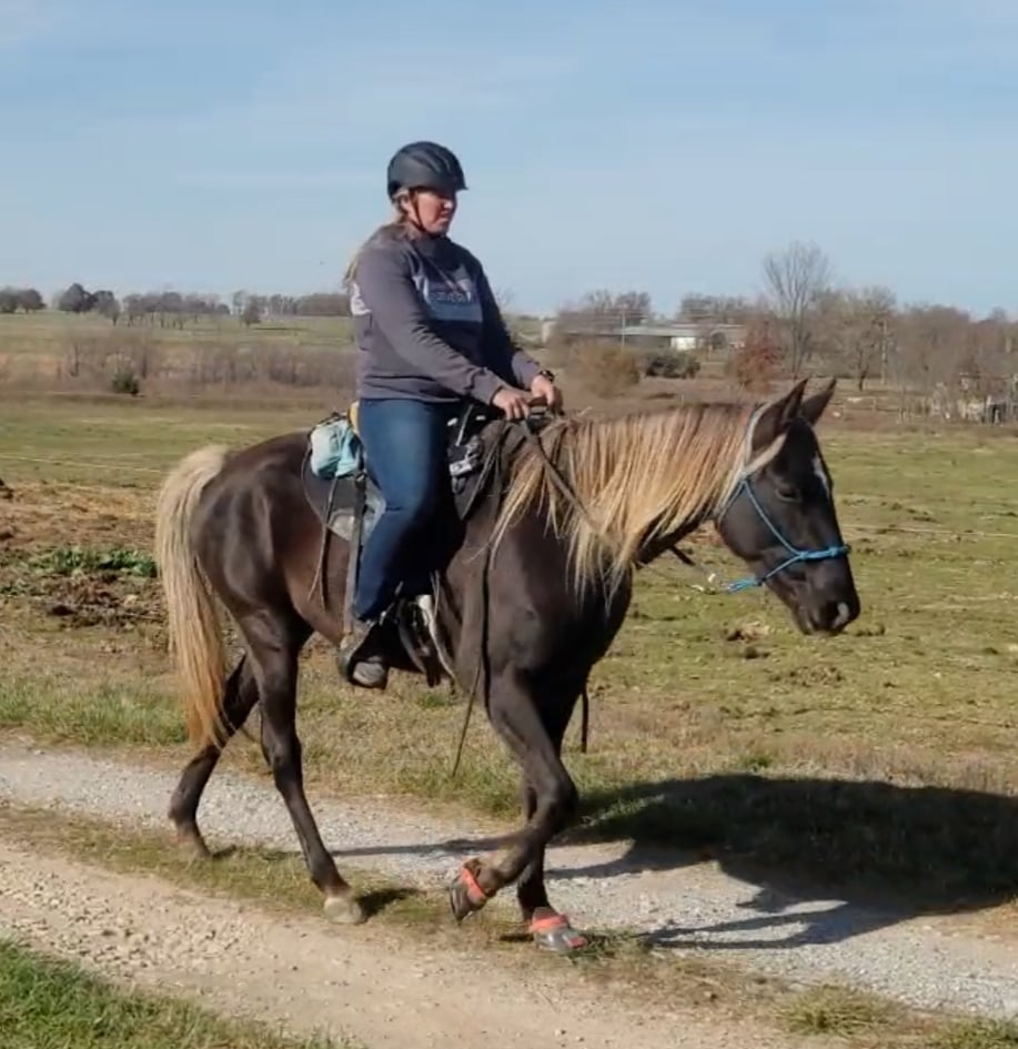 The Benefits of using Hoof Boots for Gaited Horses