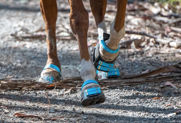 From The Horse's Mouth: Hoof Boots and Athletic Tape Update