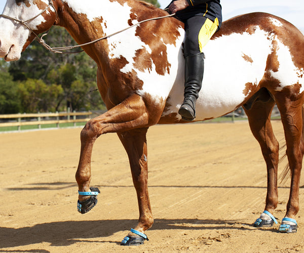 hoof boots for arthritis in horses