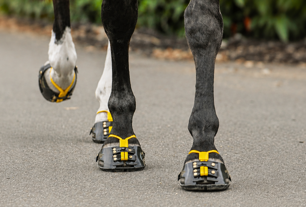 Scoot Boots Classic in muddy conditions
