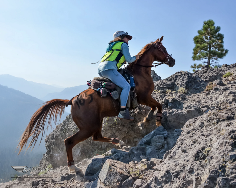 Endurance Riding