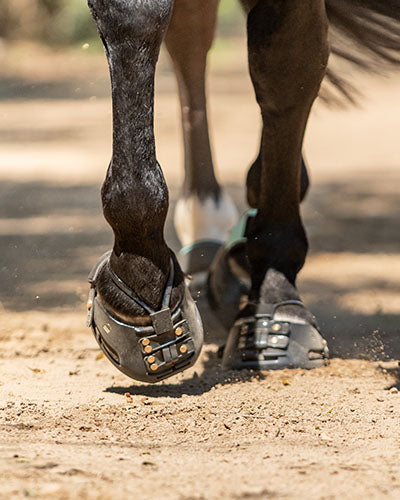 Horse standing in Scoot Boots
