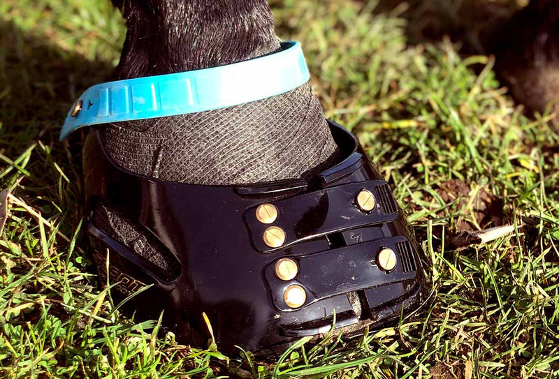 lade som om assimilation godt Experts in Horse Hoof Boots and Horse Boots - Scoot Boots