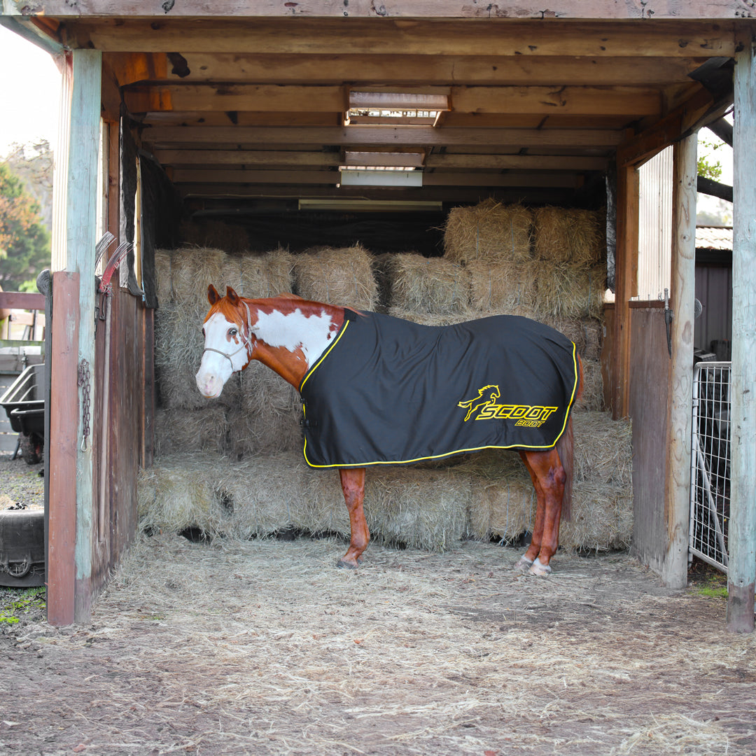 Horse Rugs