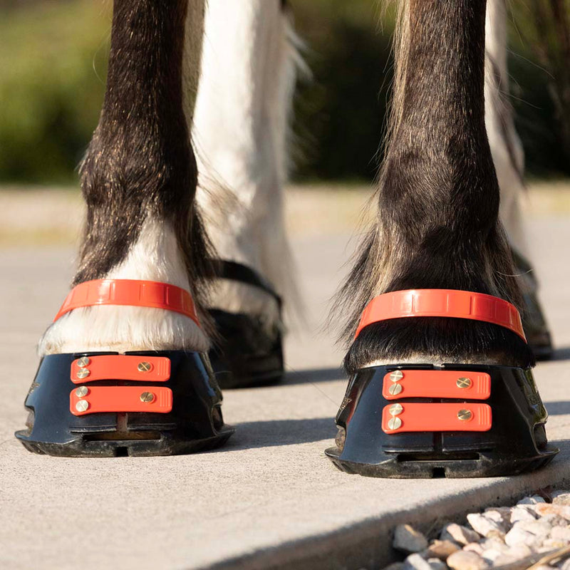 Pastern Strap Pack - Scoot Boots
