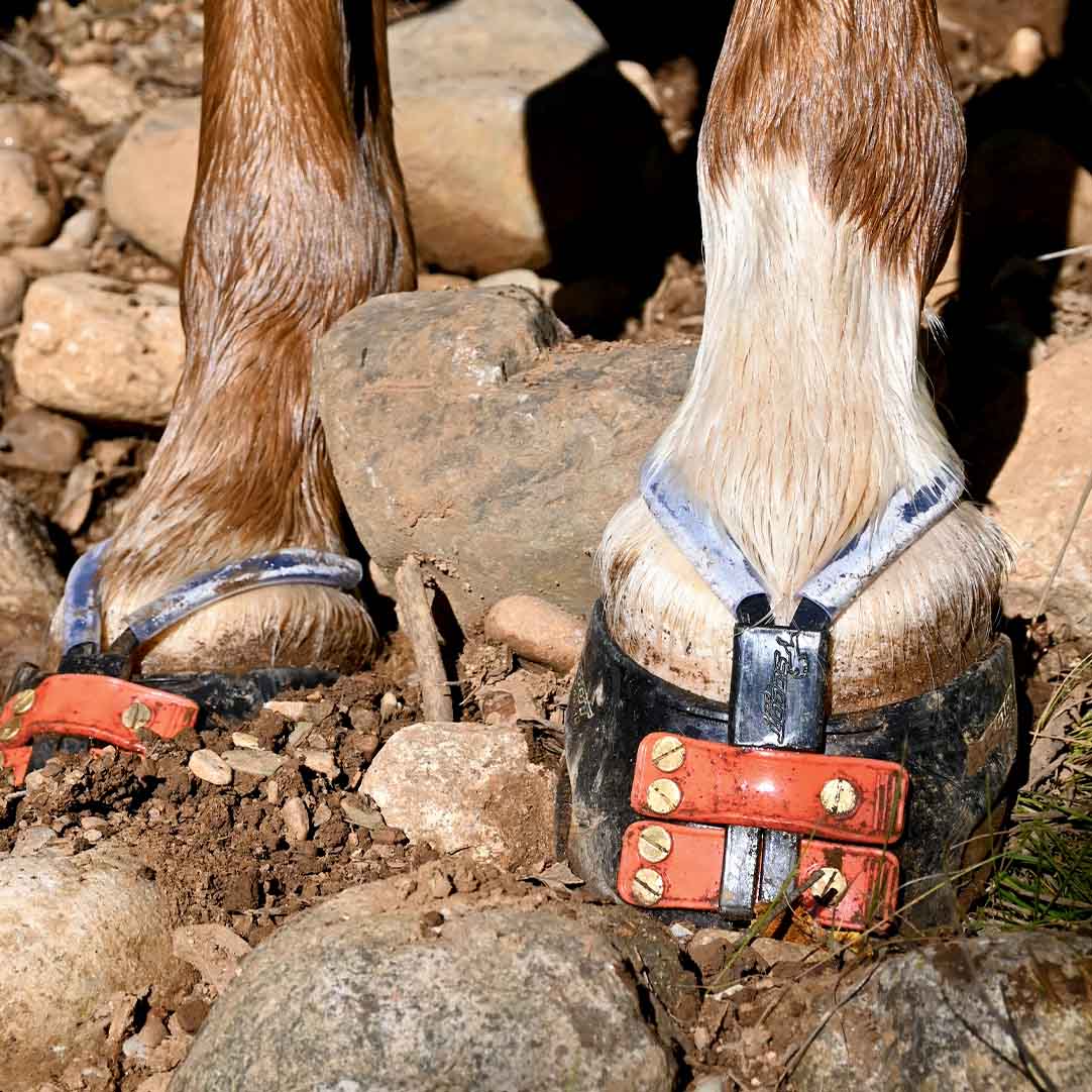 Mud Straps
