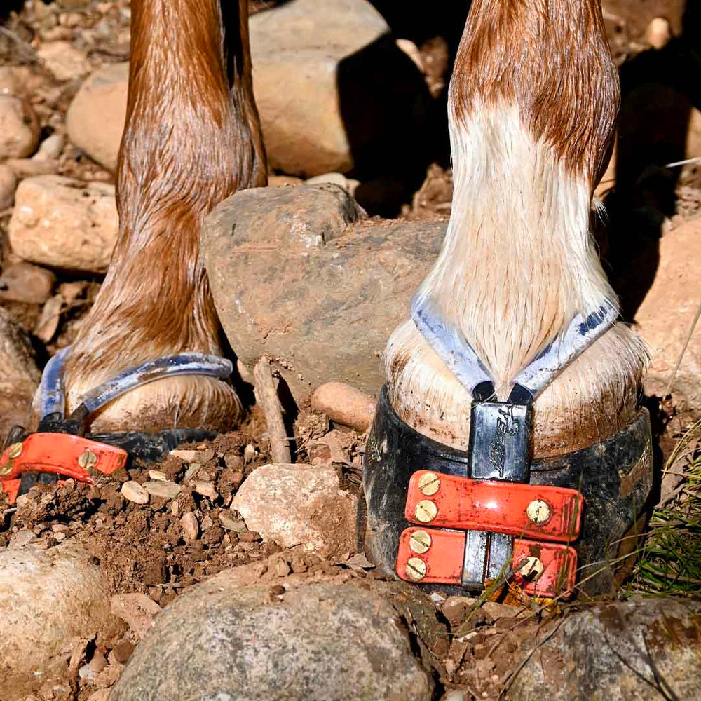 Horse boots for mud hotsell