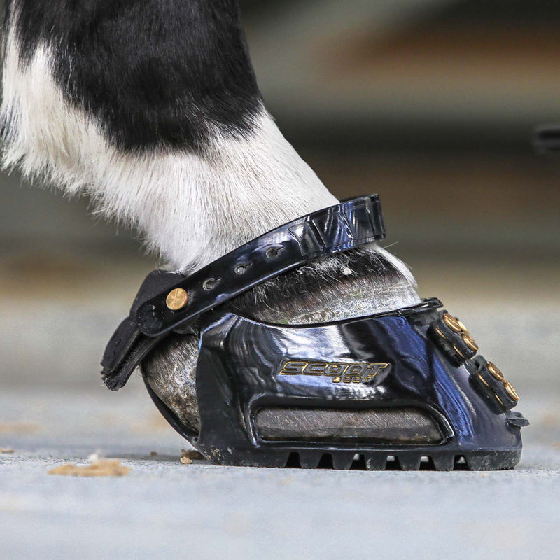 Mordrin te Forfærdeligt Scoot Boots Hoof Boots For All Terrain - Scoot Boots